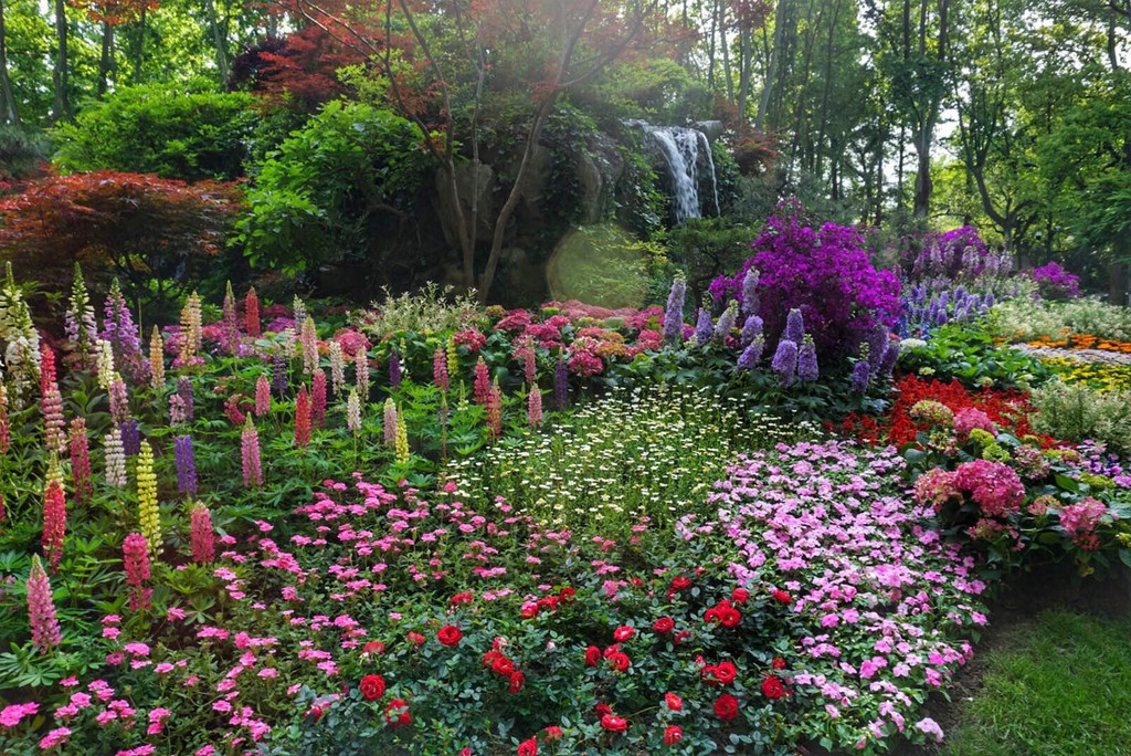花圃花种搭配,花搭配,花瓶与花的搭配_大山谷图库