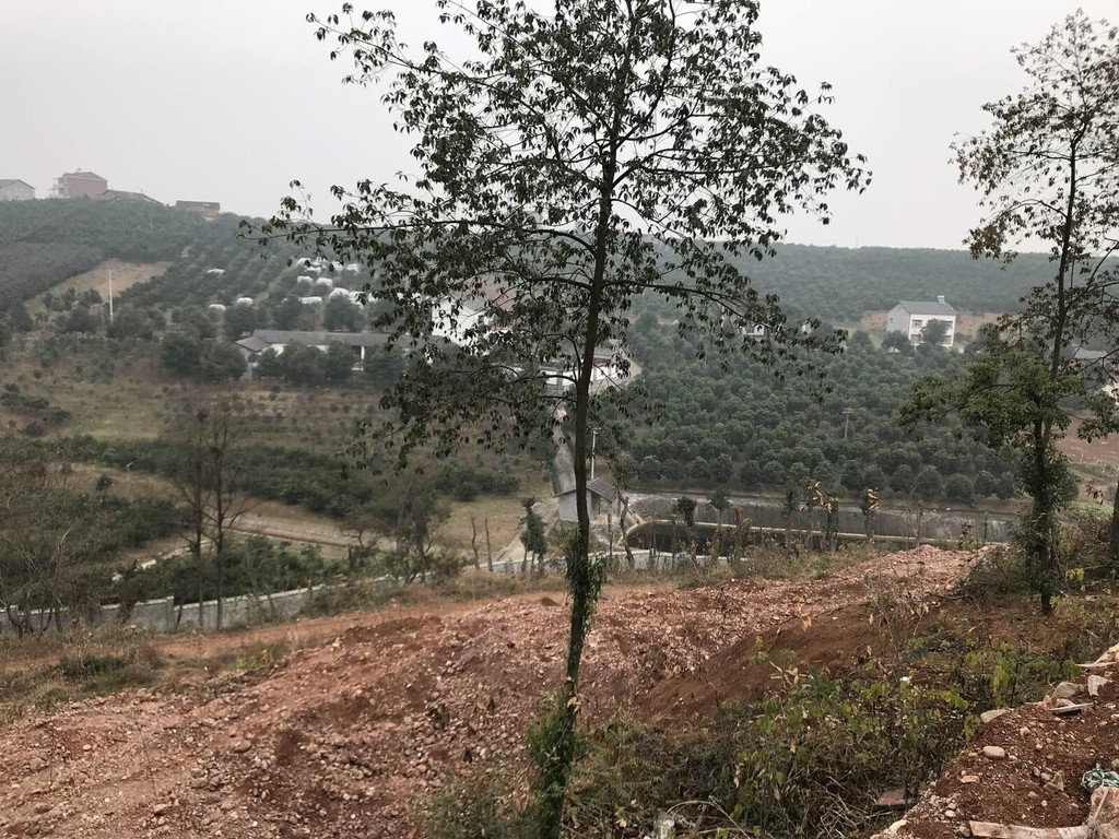 宜昌鸦鹊岭自然学校