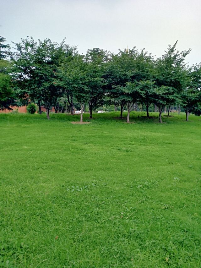 郓城黄泥岗攻略,郓城黄泥岗门票/游玩攻略/地址/图片/门票价格【携程