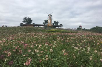 內江川南大草原攻略,內江川南大草原門票/遊玩攻略/地址/圖片/門票