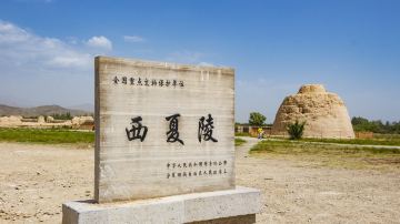 西夏陵遗址区