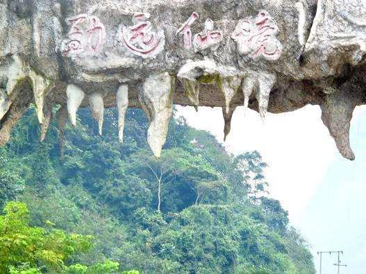 石灰山季雨林