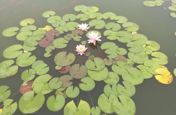 观复博物馆商店