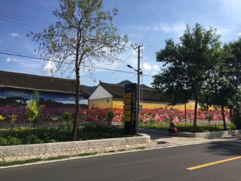 延庆四季花海|南湾村3d画