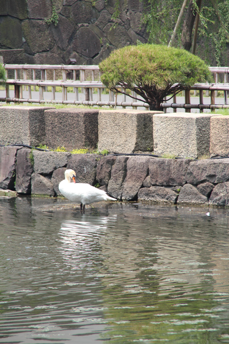 100t0s000000hyupl7D7F_R_800_10000_Q90.jpg?proc=autoorient