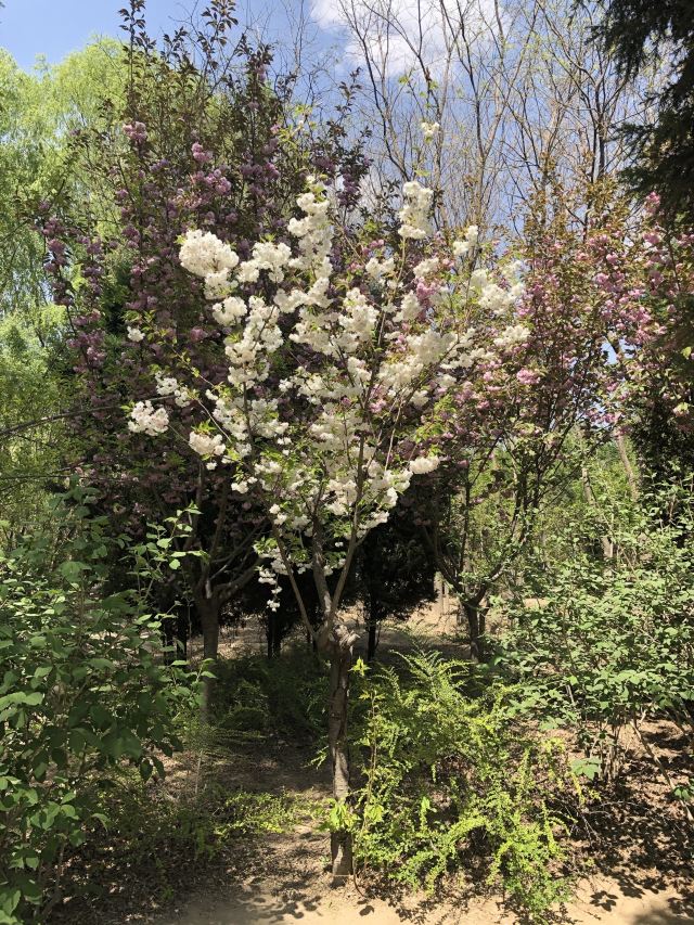 蘭州蘭州植物園門票/遊玩攻略/地址/圖片/門票價格【攜程攻略】