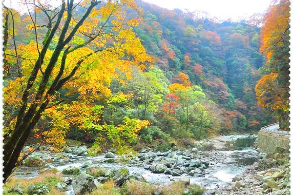 观雾山森林公园