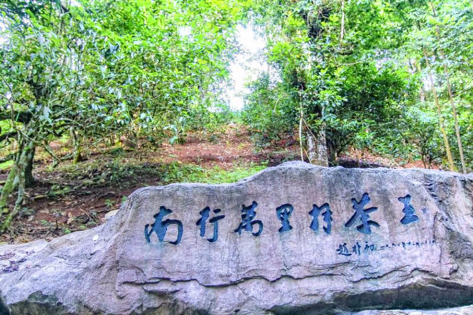 哈尼文化园