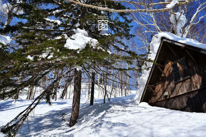 雪景怎么穿搭_雪景图片唯美