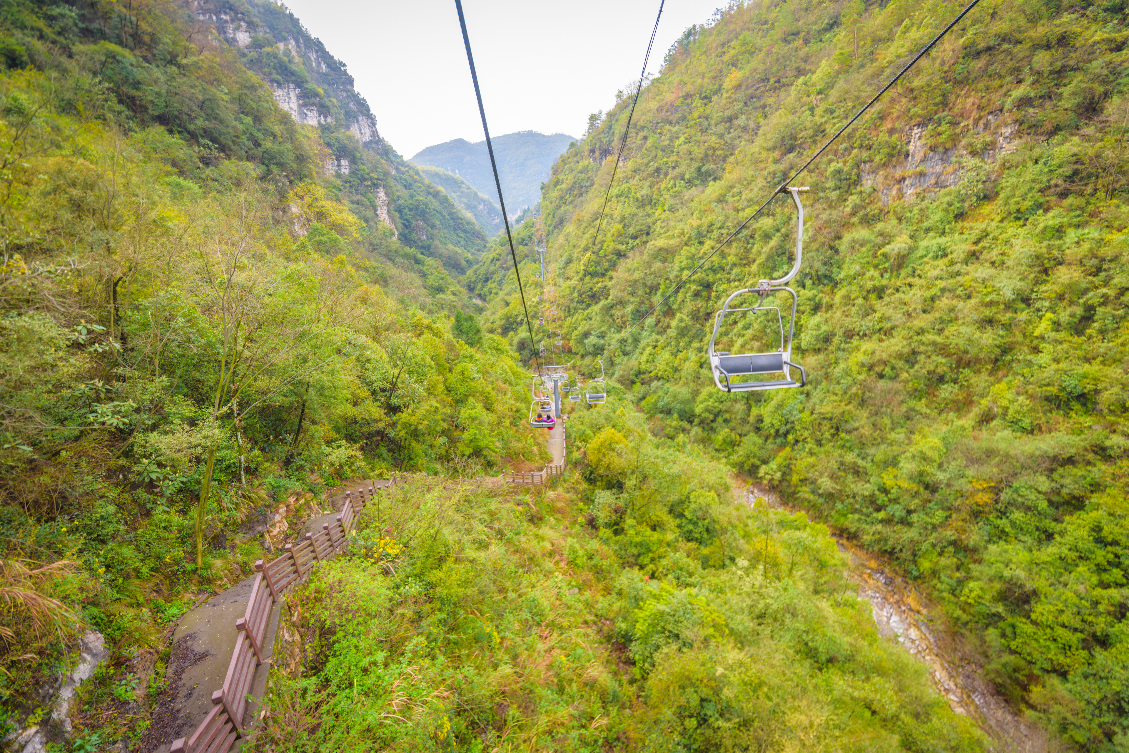 三峡猴山