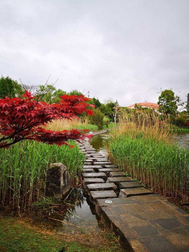 觀山湖公園