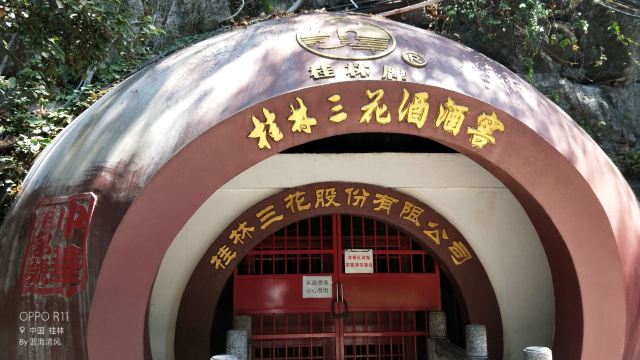 桂林三花酒窖攻略,桂林三花酒窖门票/游玩攻略/地址/图片/门票价格