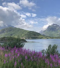 卑尔根游记图文-夏季去北欧四国避暑行（含罗弗敦群岛和挪威自驾十五天）