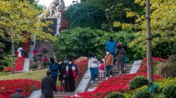#5#广州市越秀公园五羊雕像