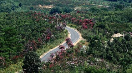 万紫千红植物园