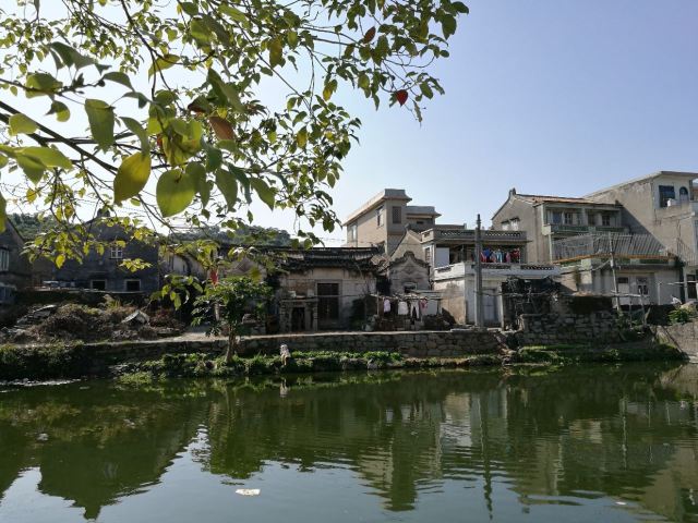 饶平大澳村文化公园攻略,饶平大澳村文化公园门票/游玩攻略/地址/图片