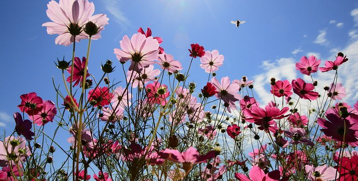 100v0e00000070dy9B1FF_R_800_10000_Q90.jpg?proc=autoorient