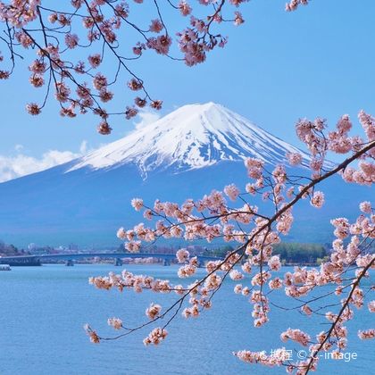 日本东京富士山+忍野八海一日游