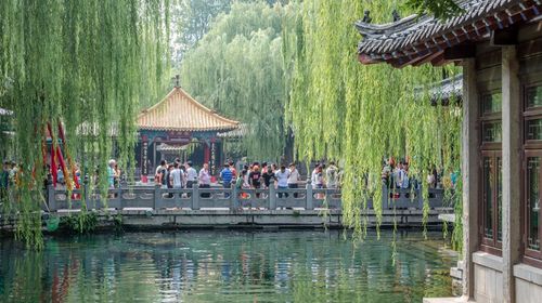 中国山东济南趵突泉景区+大明湖景区+大明湖风景名胜区-超然楼+芙蓉街一日游【沧州出发】线路推荐【携程玩乐】