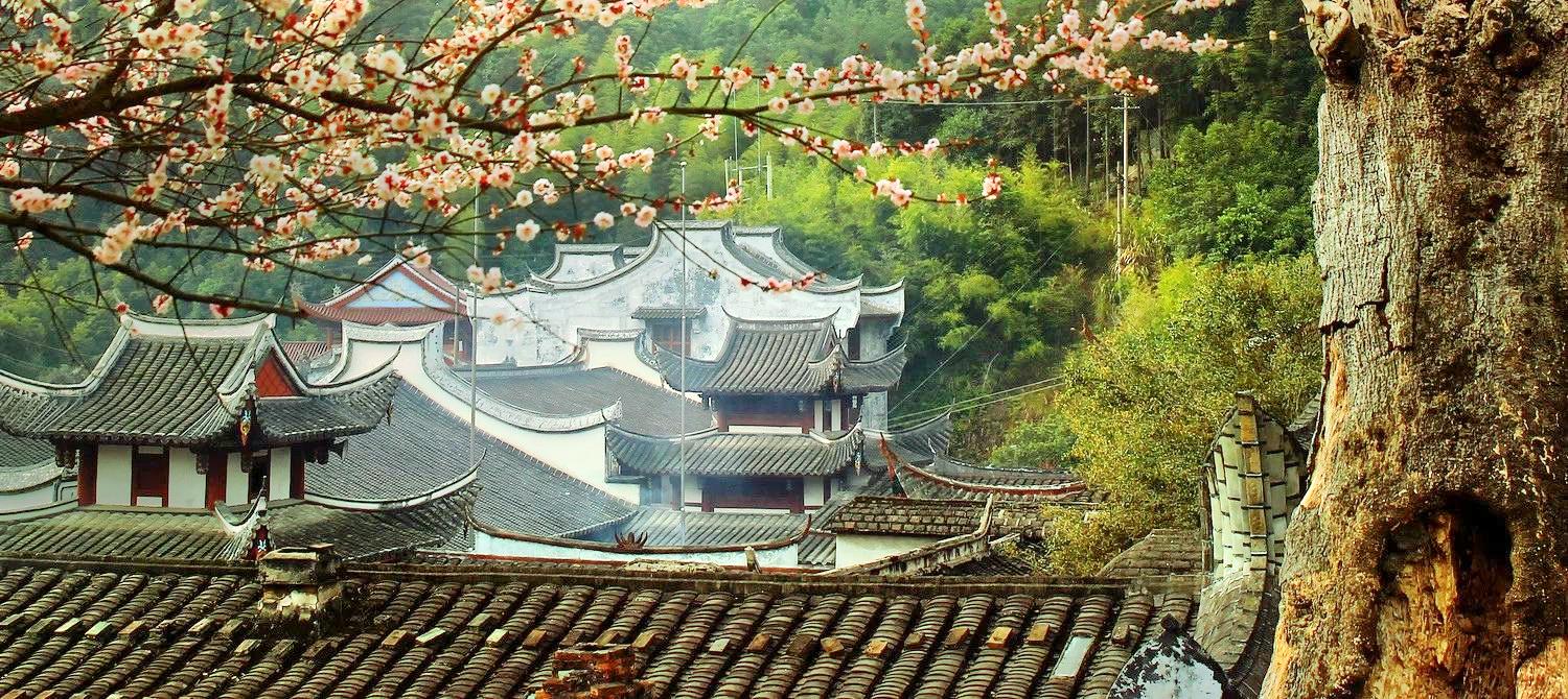 林阳寺