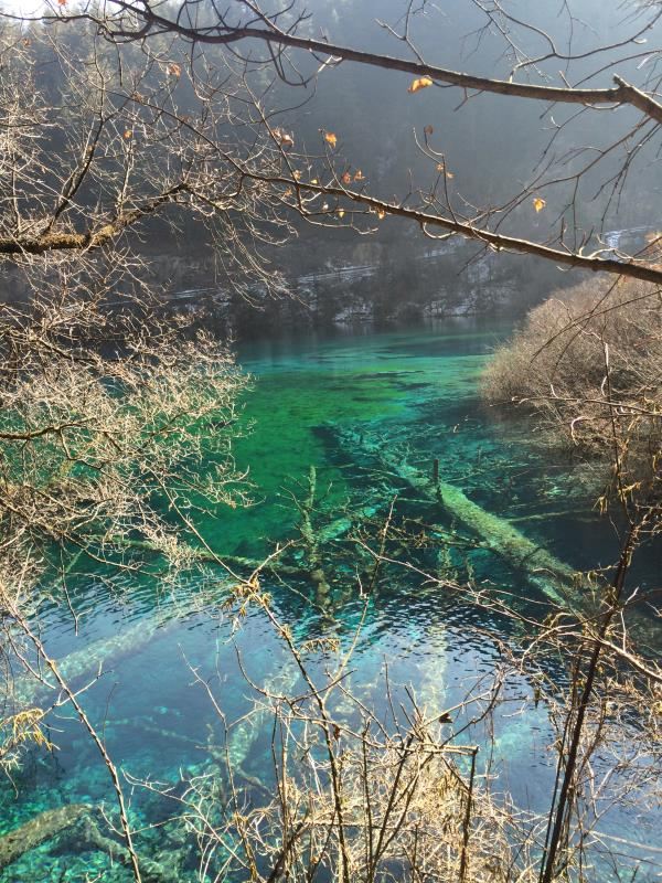 九寨沟金铃海攻略,九寨沟金铃海门票/游玩攻略/地址/图片/门票价格