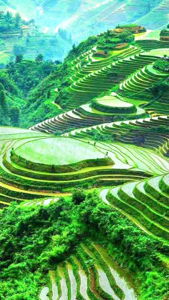 绿春哈尼梯田