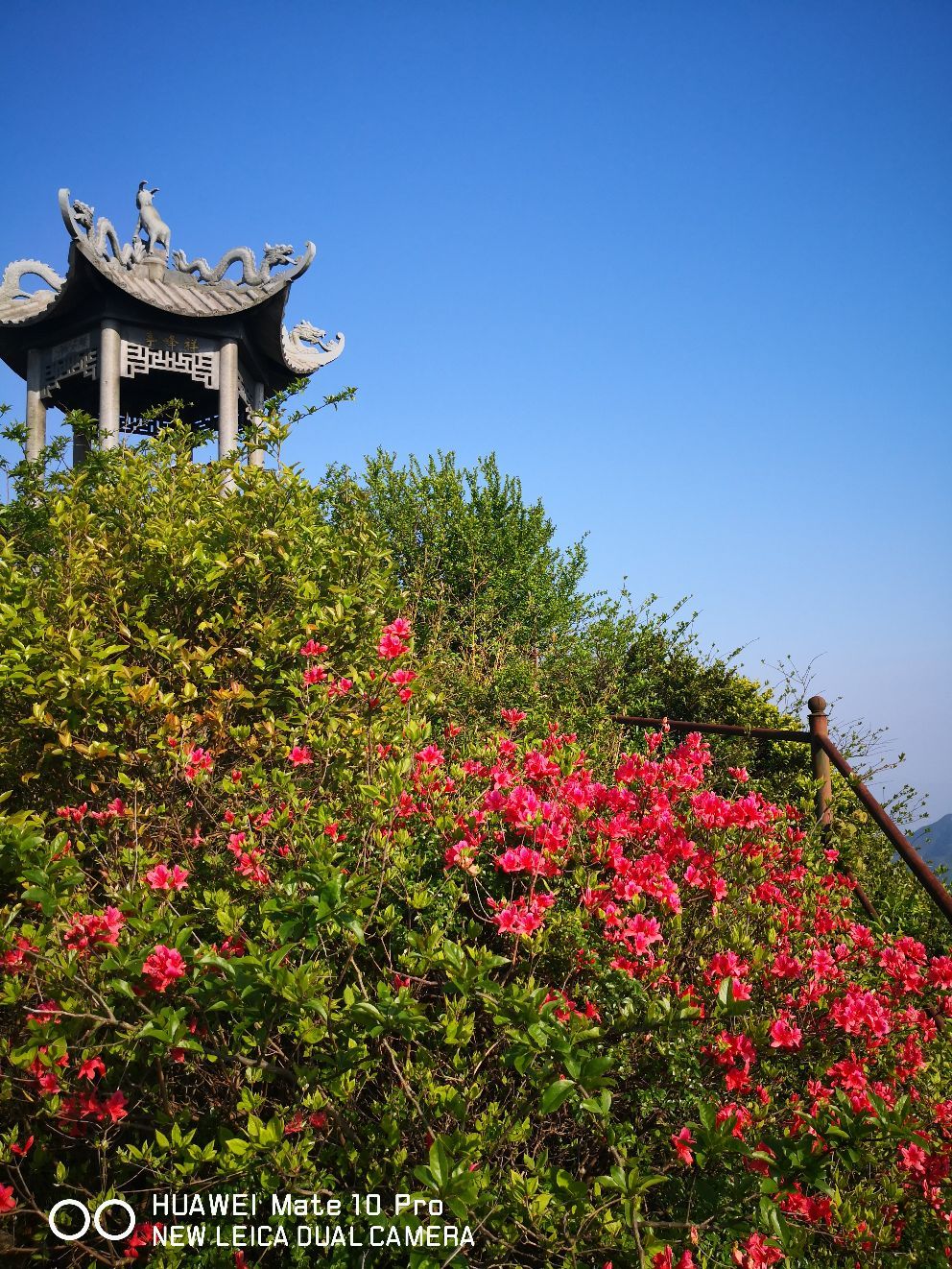 羊岩山茶文化园景区