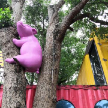 国牧早报丨《国家发改委：生猪每头亏 192 元；肉鸡每只亏 008 元；蛋鸡每只亏损 24 元