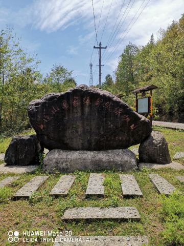 绿春黄连山保护区