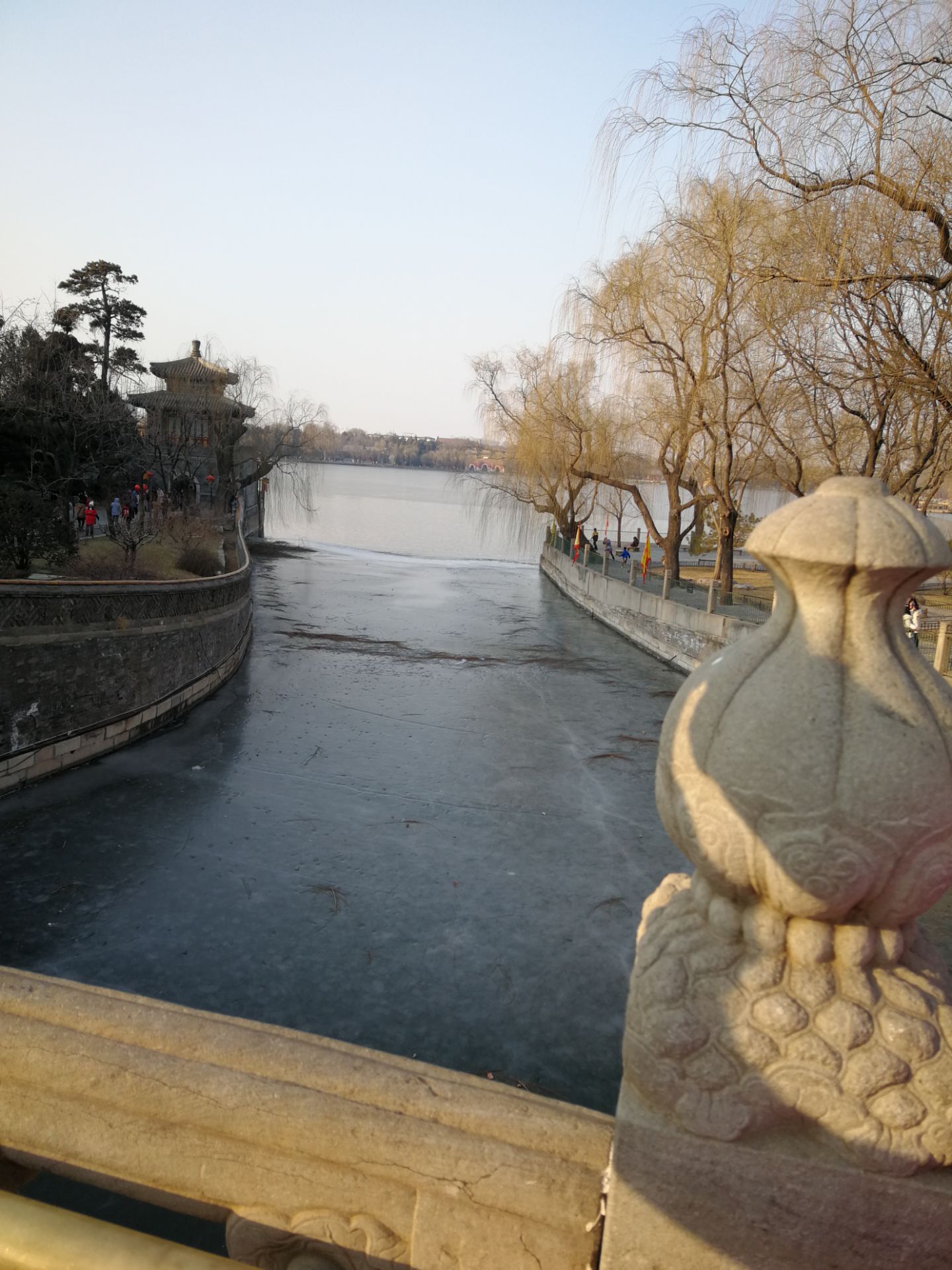 龙潭西湖公园-北京教学植物园