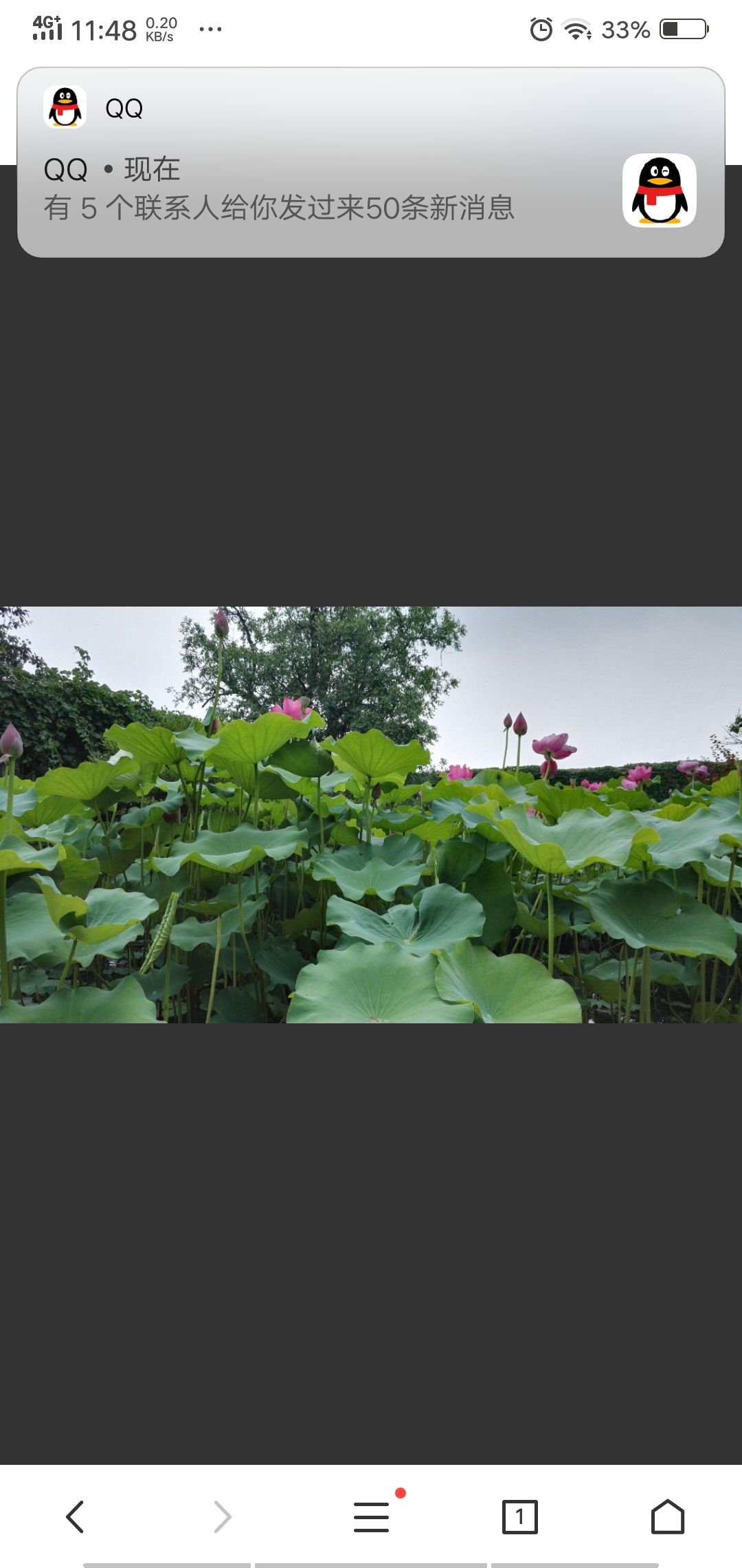 沃野园林