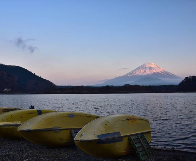 富士山精进湖攻略,富士山精进湖门票/游玩攻略/地址/图片/门票价格