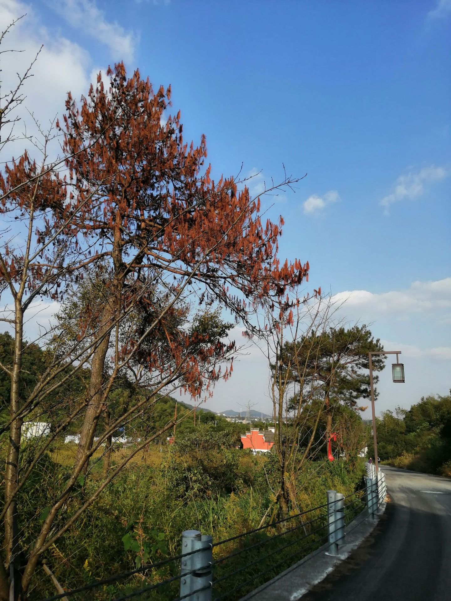 龙住寺