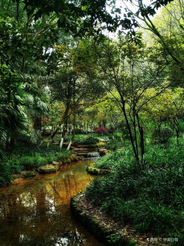 杭州仙人谷景区攻略,杭州仙人谷景区门票/游玩攻略/地址/图片/门票