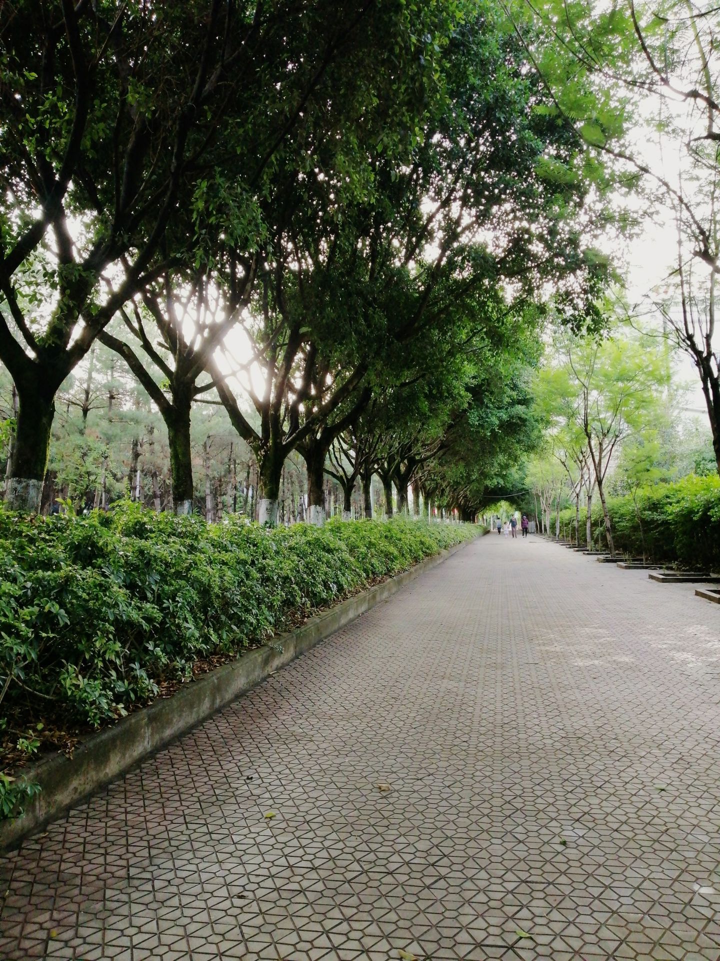 永德县图书馆