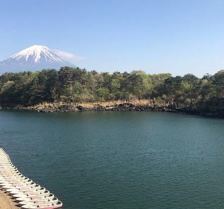 富士山精进湖攻略,富士山精进湖门票/游玩攻略/地址/图片/门票价格