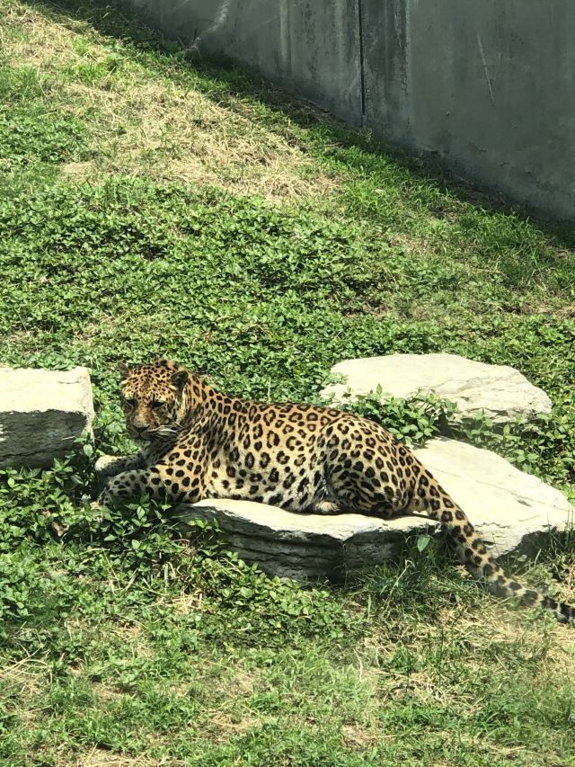 南山公园动物园