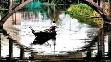 大雁山+古劳水乡游船一日游【登高远眺水乡游