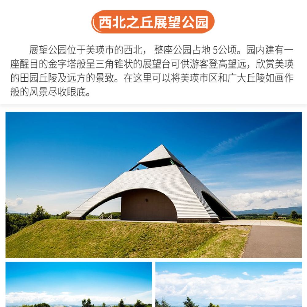 日本北海道美瑛町青池 富良野富田农场一日游 梦幻中文导游 札幌出发当日往返 花田之旅 线路推荐 携程玩乐 日本北海道美瑛町青池 富良野富田农场一日游 梦幻中文导游 札幌出发当日往返 花田之旅 线路推荐 携程玩乐