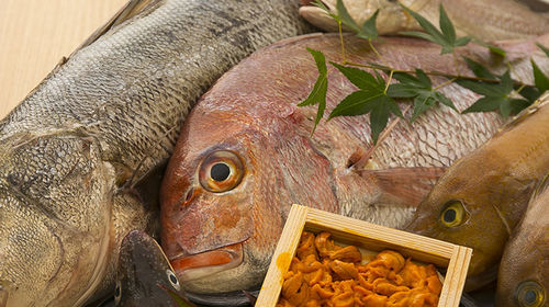 大阪府北新地海鲜料理 地魚と地野菜心屋上通り店 餐厅美食套餐线路推荐 携程玩乐