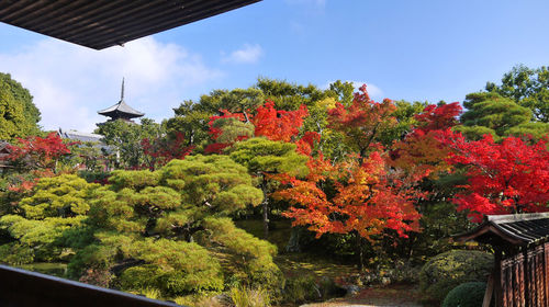 京都仁和寺 高雄 三尾一带自由散步 清凉寺 宝筐院 二尊院赏红叶一日游 京都站直发 线路推荐 携程玩乐