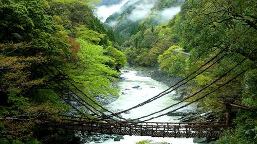 日本德岛县吉野川 祖谷溪一日游【眺望雄伟的大步危溪谷 含休息站代金