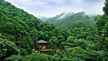 烟雨访绿
