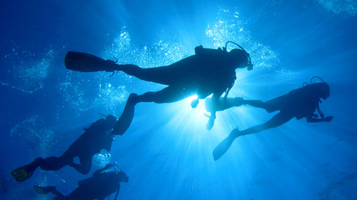 巴厘岛蓝梦岛/图兰奔/八丹拜潜水深潜一日游【酒店接送/多套餐可选