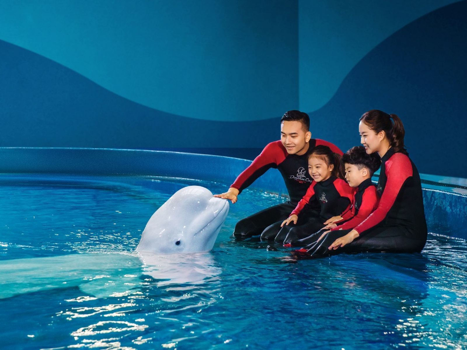 三亚亚特兰蒂斯失落的空间水族馆(The Lost Chambers Aquarium (Sanya))