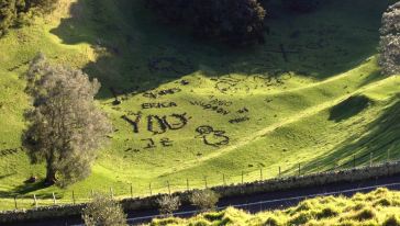 【畅游帆船之都】奥克兰市内一日包车 景点自