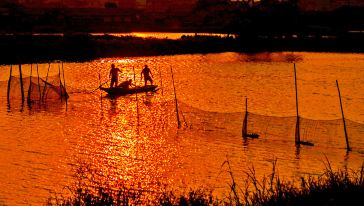 大雁山+古劳水乡游船一日游【登高远眺水乡游