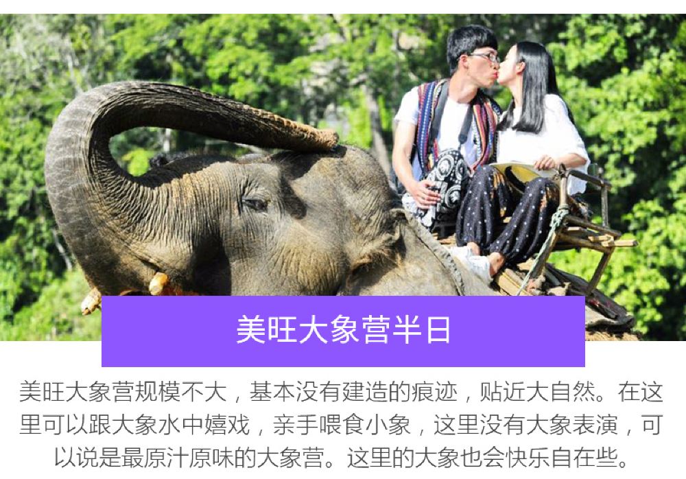 清迈美莎美旺大象营黑森林餐厅骑大象丛林飞跃一日游