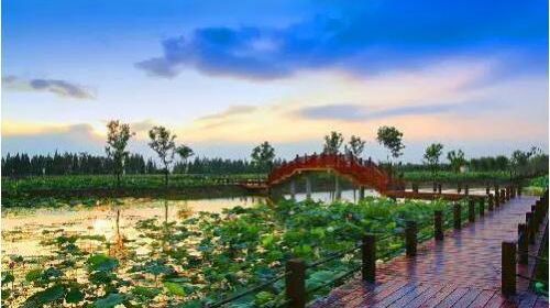 固城湖水慢城一日游【国际慢城高淳桠溪、高