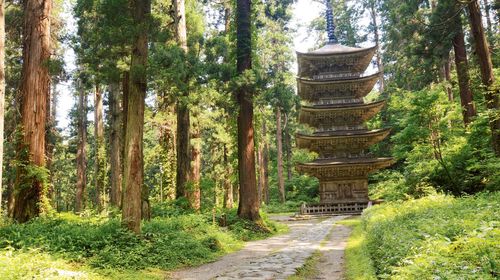 鹤冈市半日游 日本山形县鹤冈市国宝羽黑山五重塔三神合祭殿汤殿山神社包车半日游 线路推荐 携程玩乐